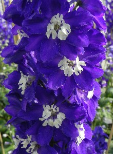DSCN1621.jpg